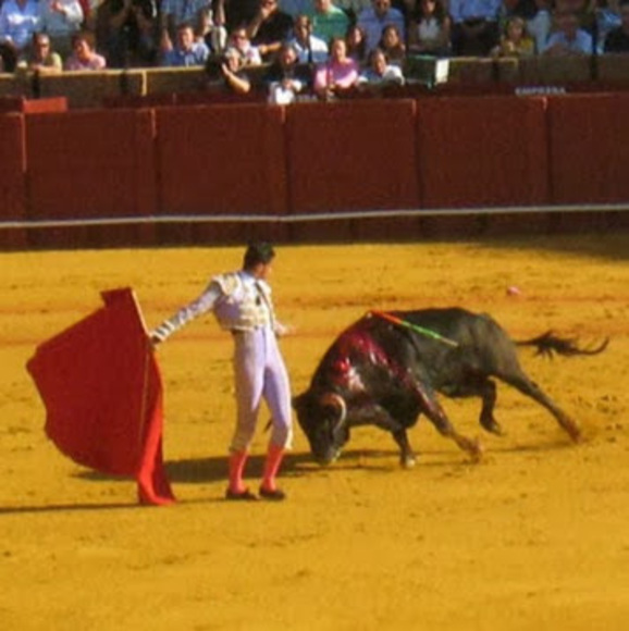 matadora11